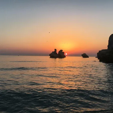 Onda Mare * توري ديل أورسو