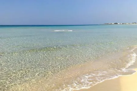 Onda Mare * توري ديل أورسو
